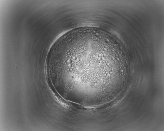 X0000060781125200511141410