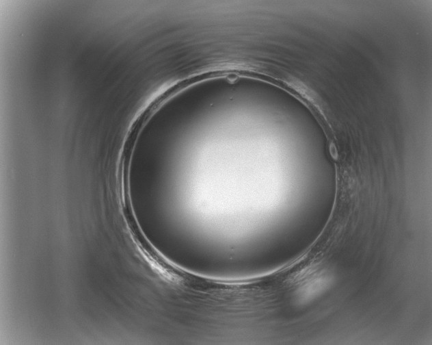 X0000060781127200511141410