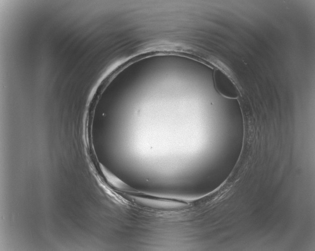 X0000060781128200511141410