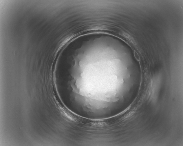 X0000060781129200511141410