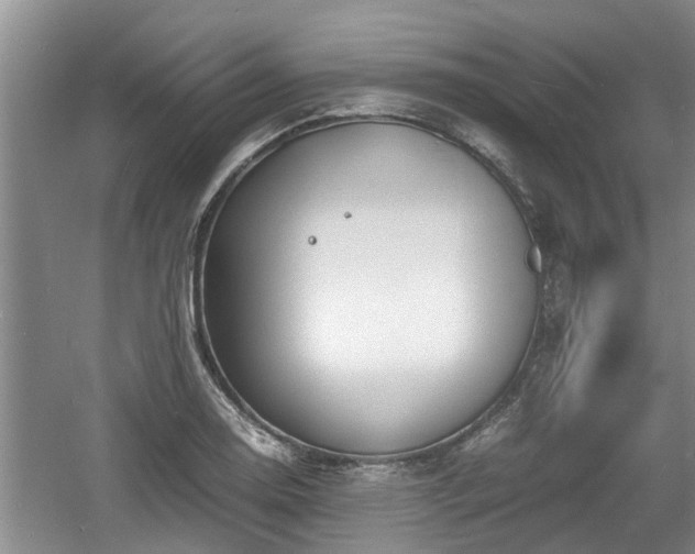 X0000060781130200511141410