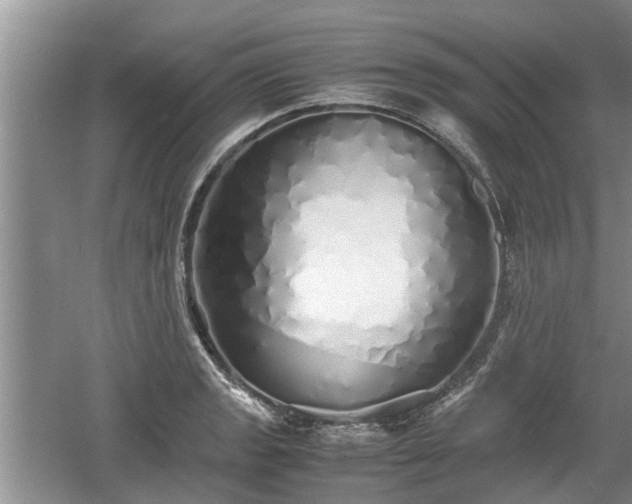 X0000060781133200511141410