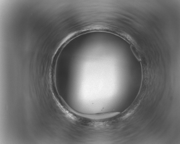 X0000060781134200511141410