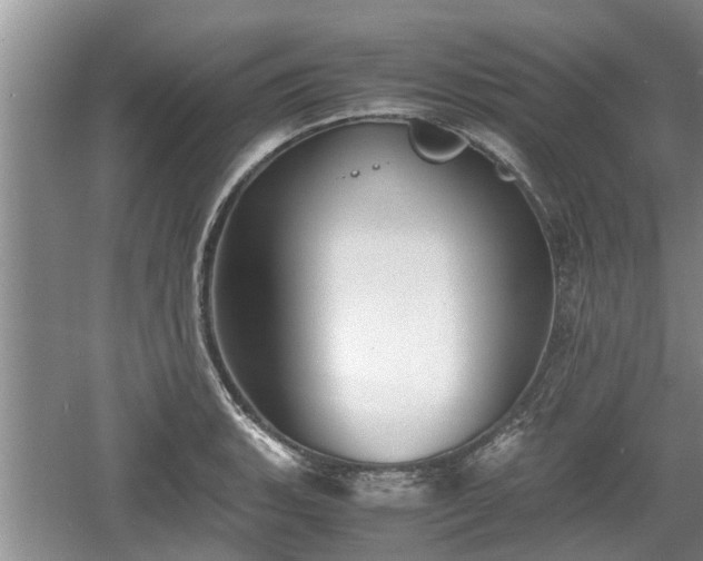 X0000060781135200511141410