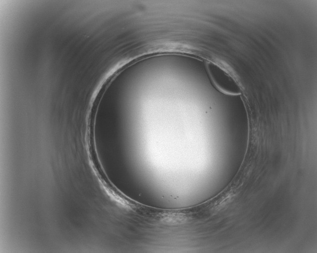 X0000060781136200511141410