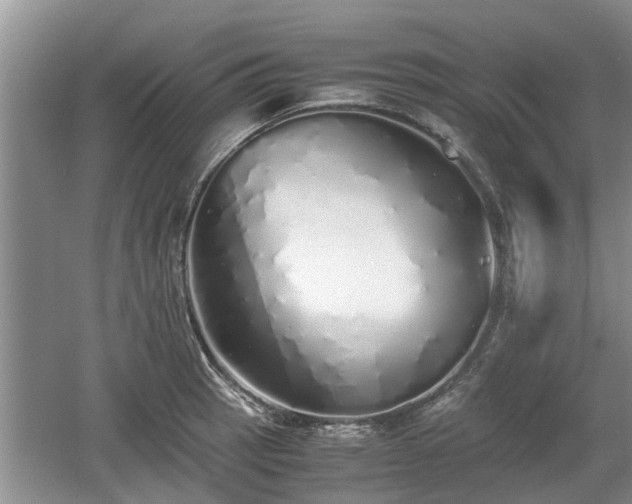 X0000060781137200511141410