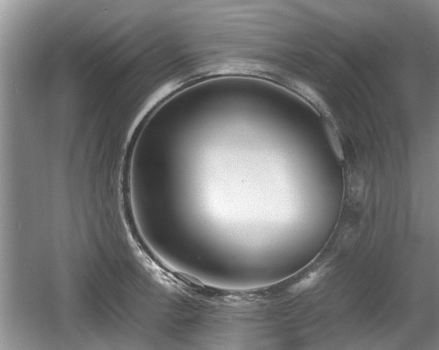 X0000060781138200511141410