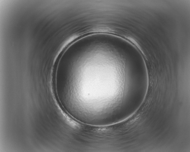 X0000060781139200511141410