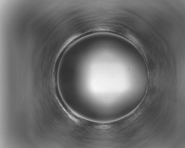 X0000060781141200511141410