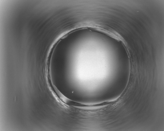 X0000060781144200511141410