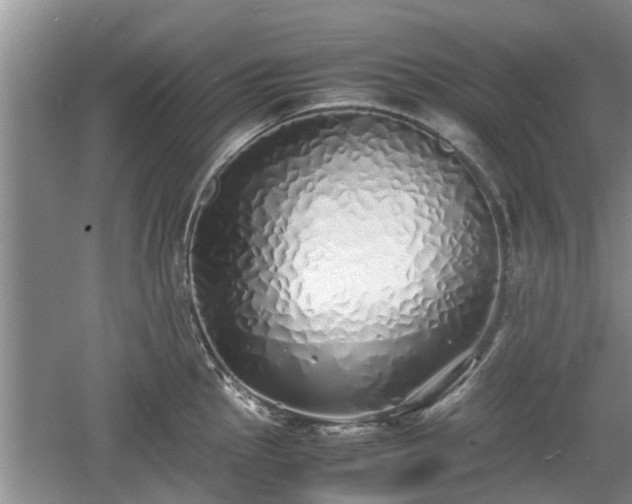 X0000060781145200511141410