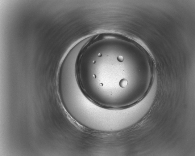 X0000060781148200511141410