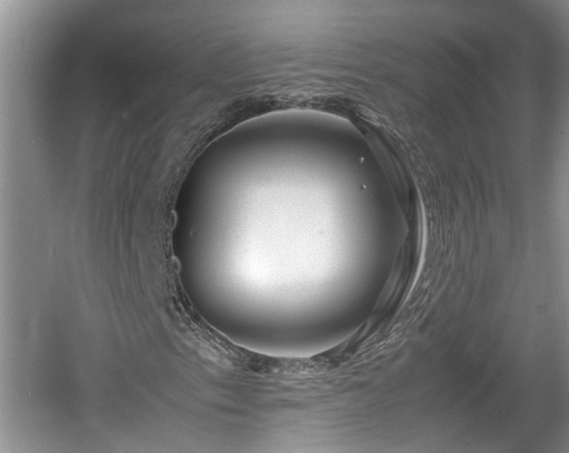 X0000060781153200511141409