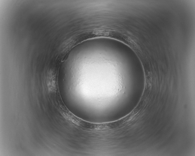 X0000060781154200511141409