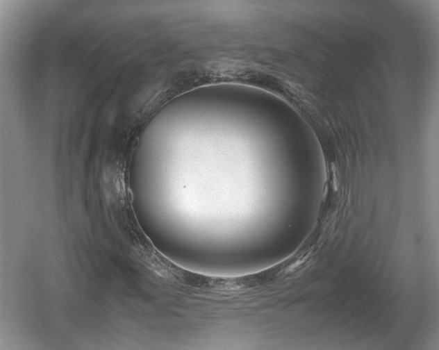 X0000060781155200511141409