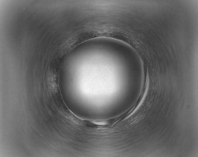 X0000060781156200511141409