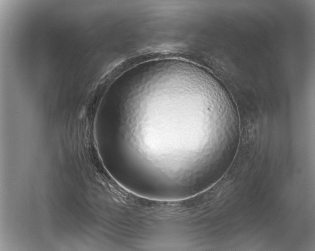 X0000060781158200511141409