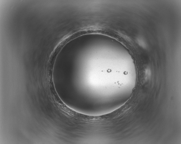 X0000060781160200511141409