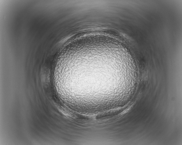 X0000060781161200511141409