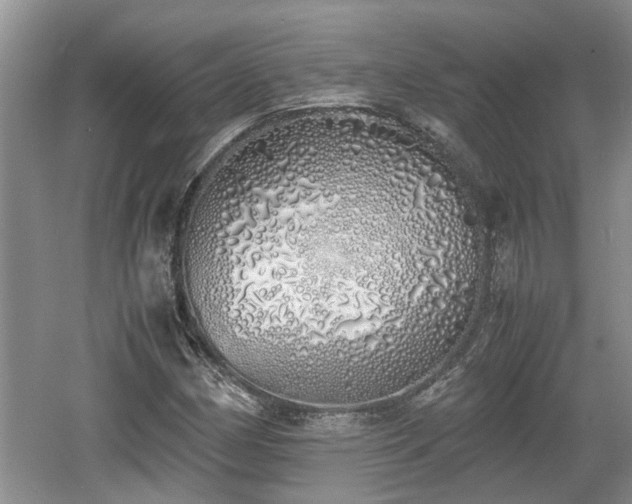 X0000060781162200511141409