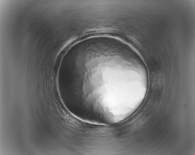 X0000060781163200511141409