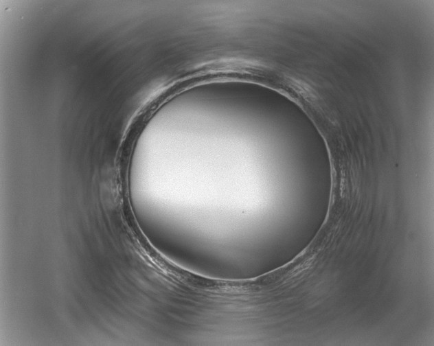 X0000060781164200511141409