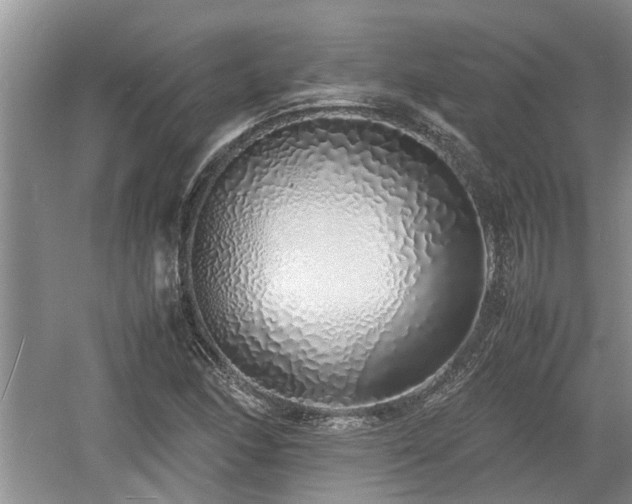 X0000060781166200511141409