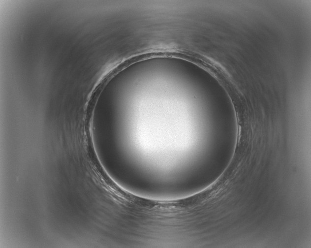 X0000060781168200511141409