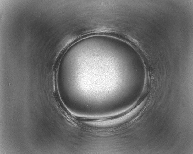 X0000060781171200511141409