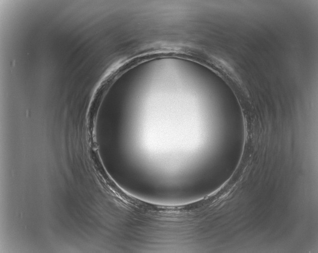 X0000060781172200511141409