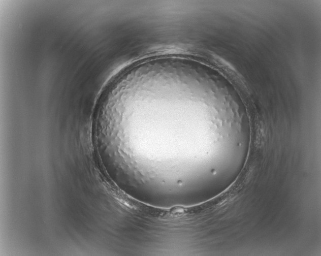 X0000060781174200511141409