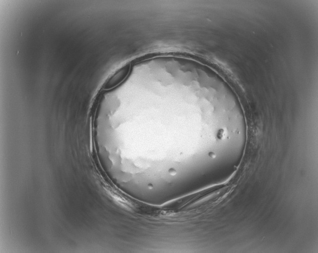 X0000060781175200511141409