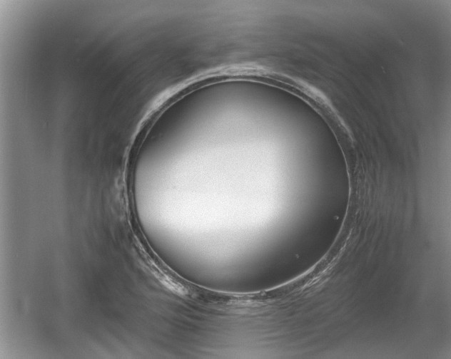 X0000060781176200511141409