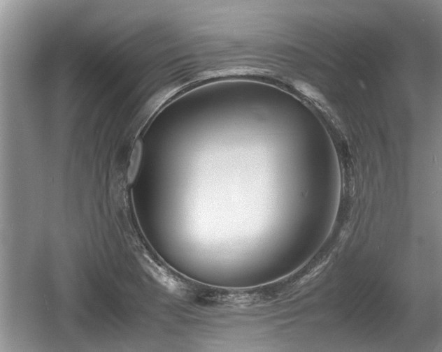 X0000060781177200511141409