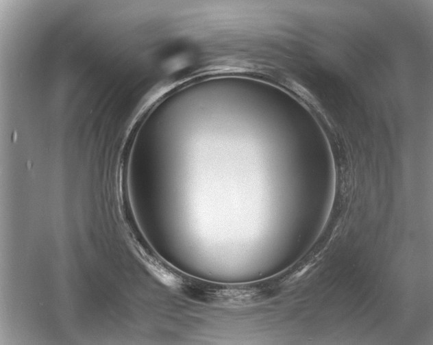 X0000060781179200511141409