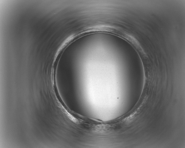 X0000060781180200511141409