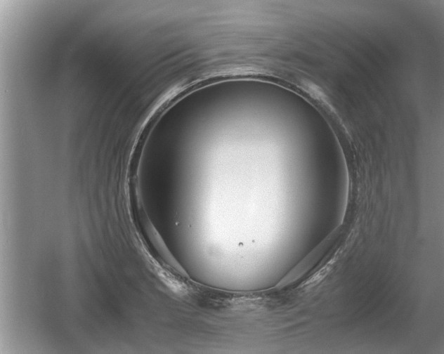 X0000060781181200511141409