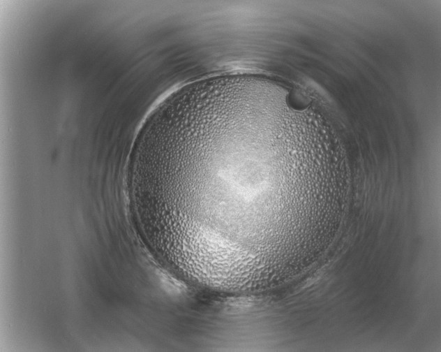 X0000060781182200511141409