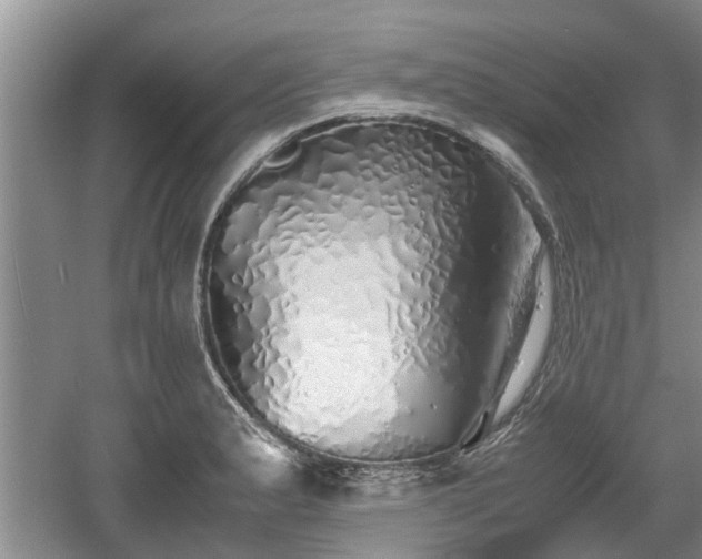 X0000060781183200511141409