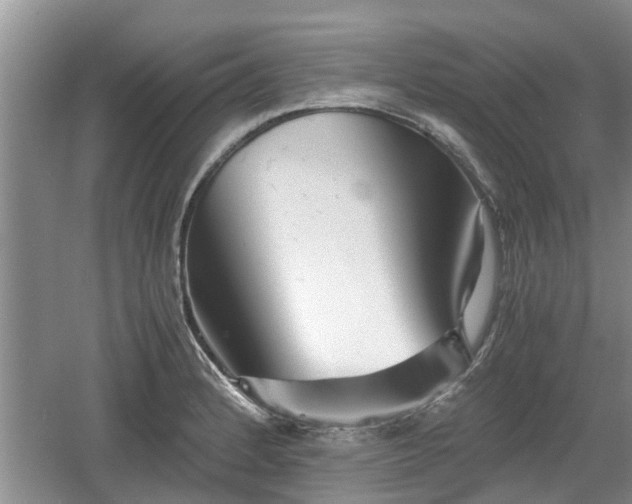 X0000060781184200511141409