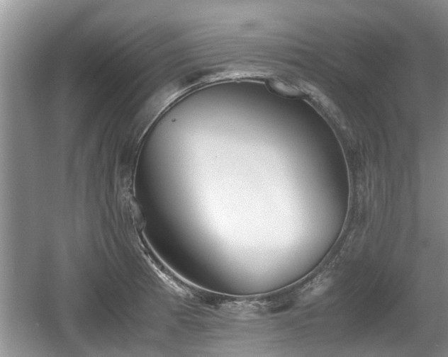 X0000060781185200511141409