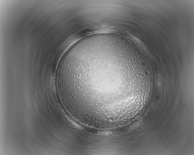 X0000060781186200511141409