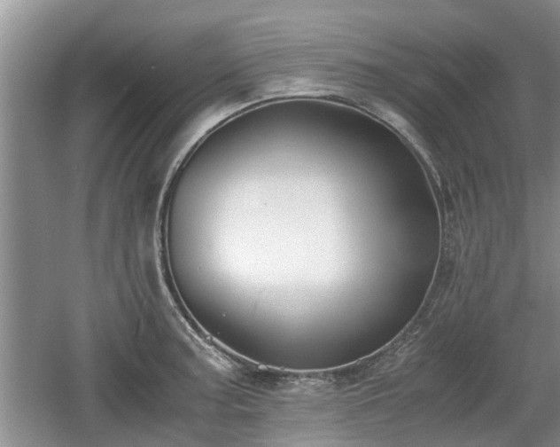 X0000060781187200511141409