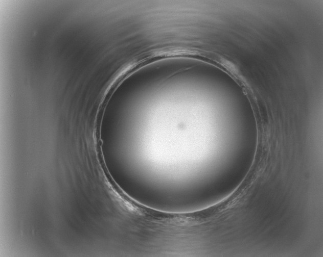 X0000060781189200511141409