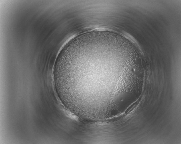 X0000060781190200511141408