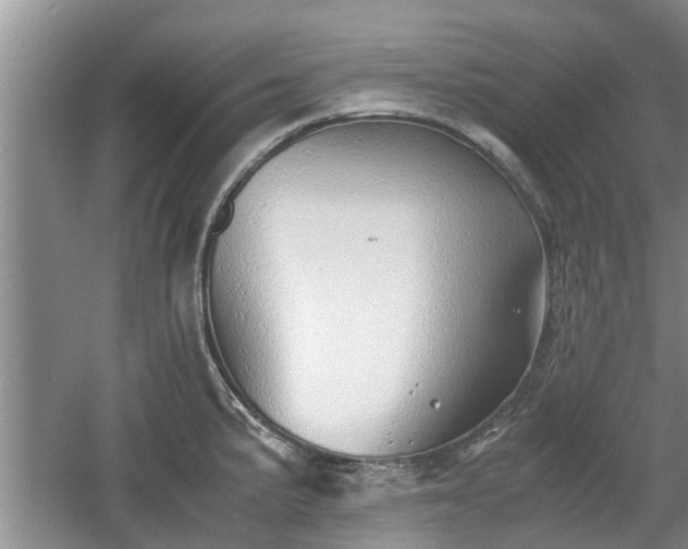 X0000060781191200511141408