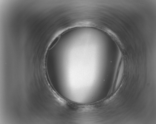 X0000060781192200511141408