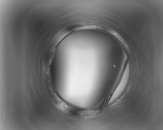 X0000060781193200511141408