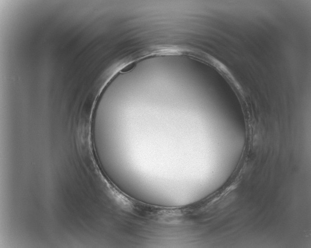 X0000060781194200511141408