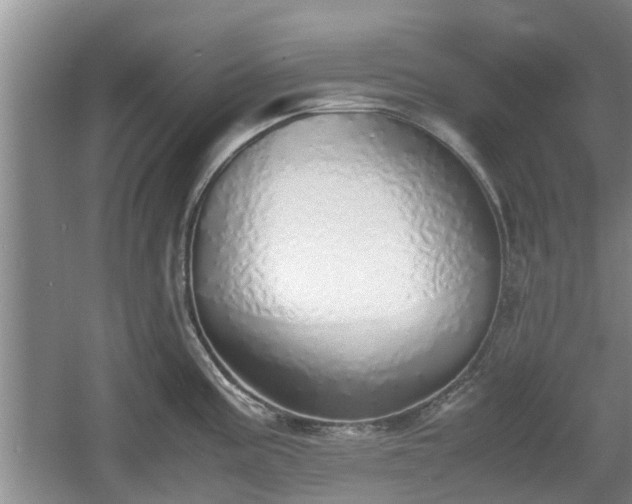 X0000060781195200511141408